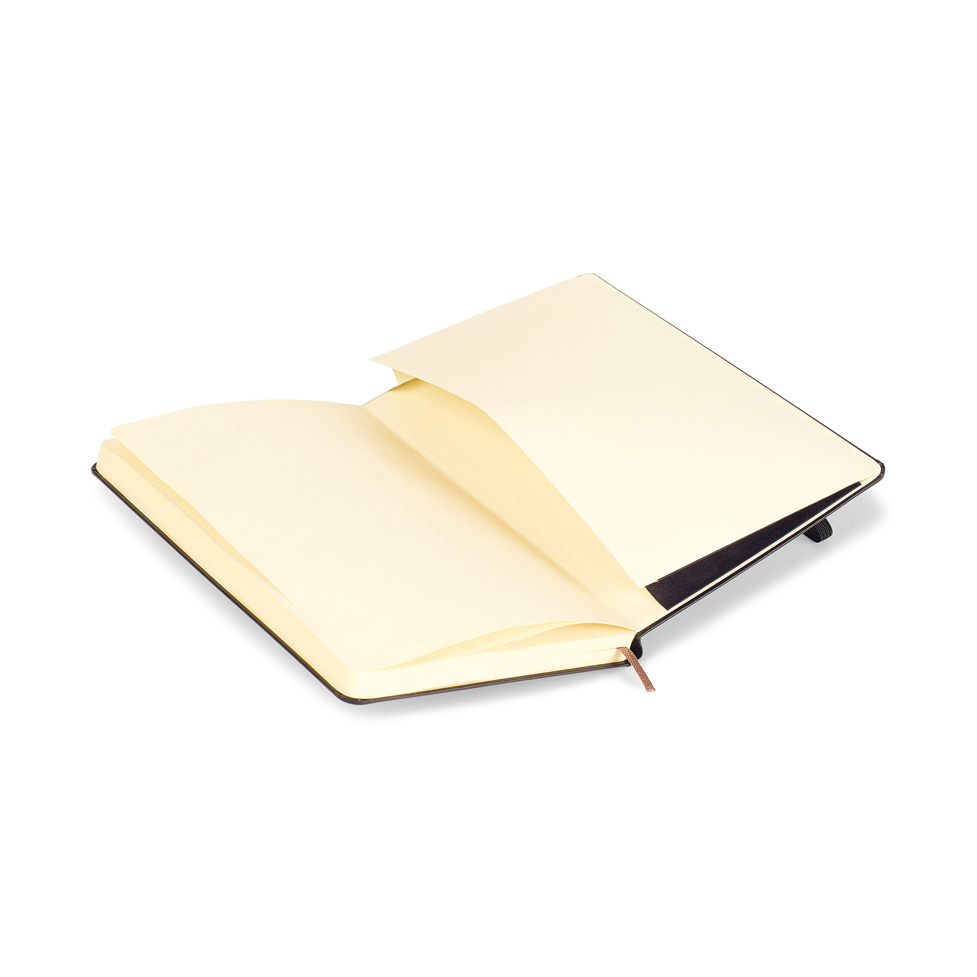 Picture of Moleskine Hard Cover Dotted Large Notebook - Black