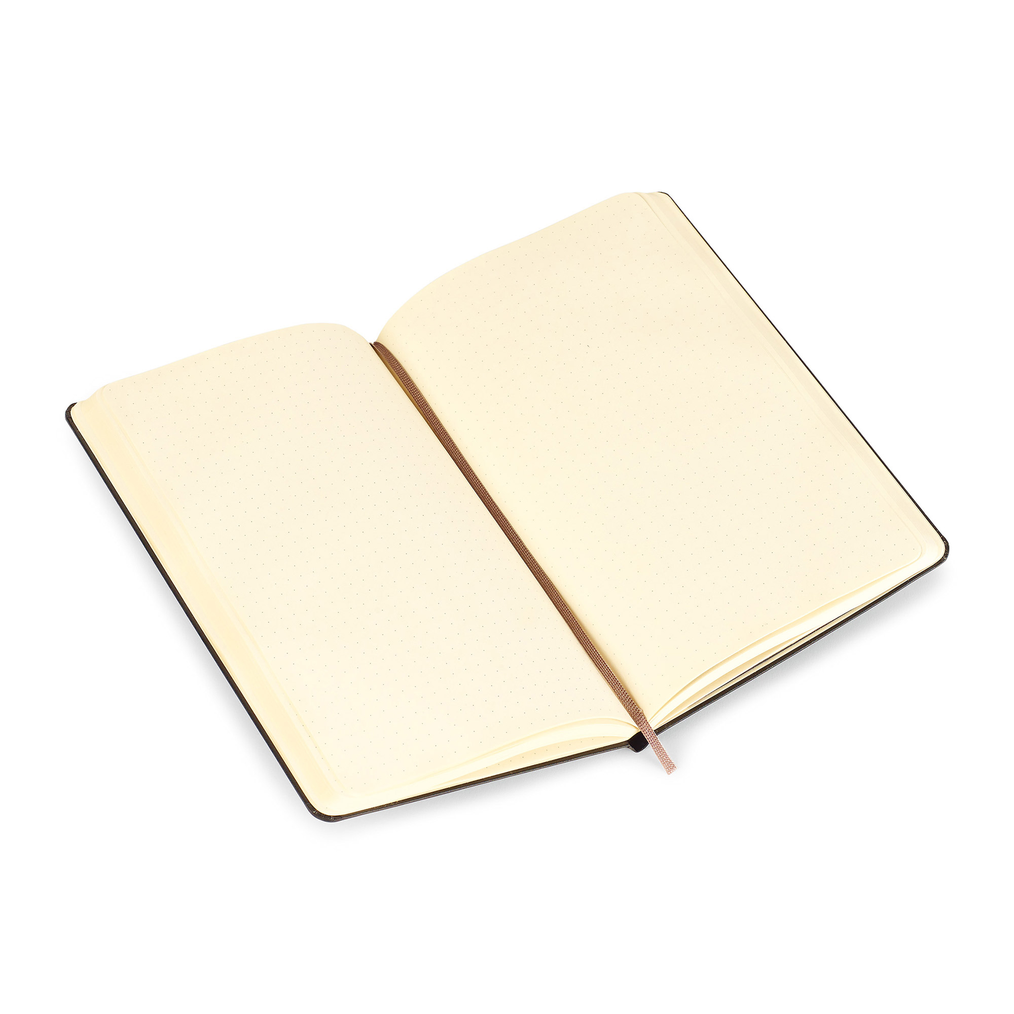 Picture of Moleskine Hard Cover Dotted Large Notebook - Black