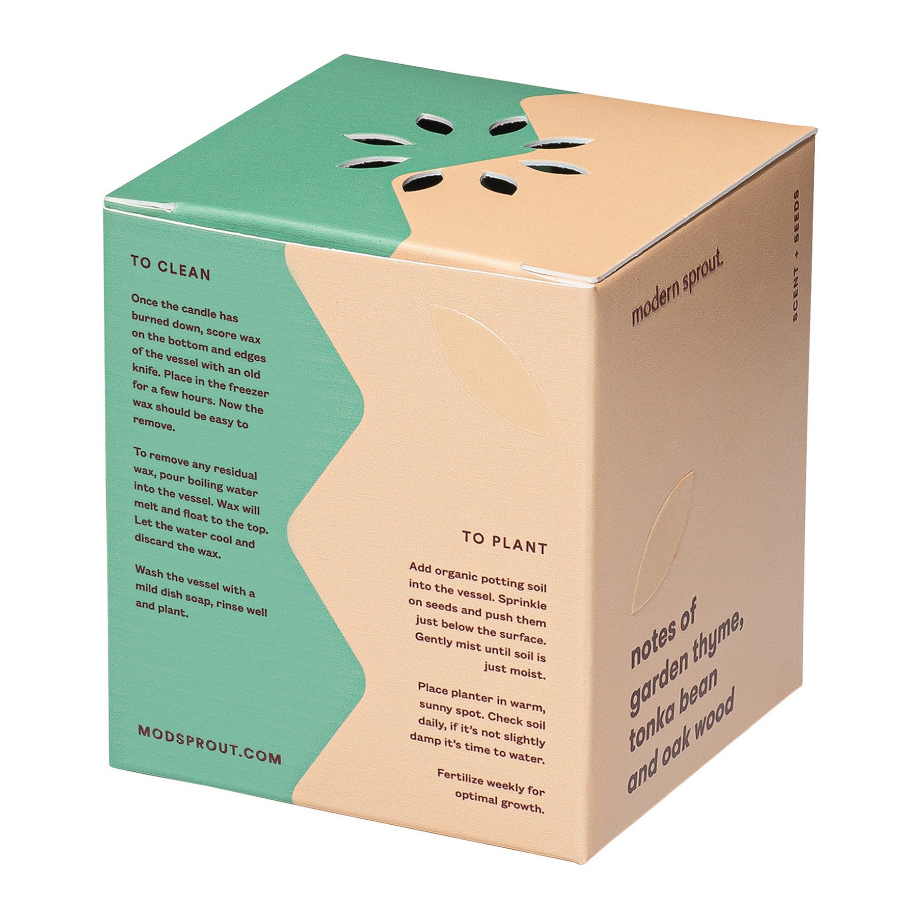 Picture of Modern Sprout Rooted Candle - Dark Teal-Thyme
