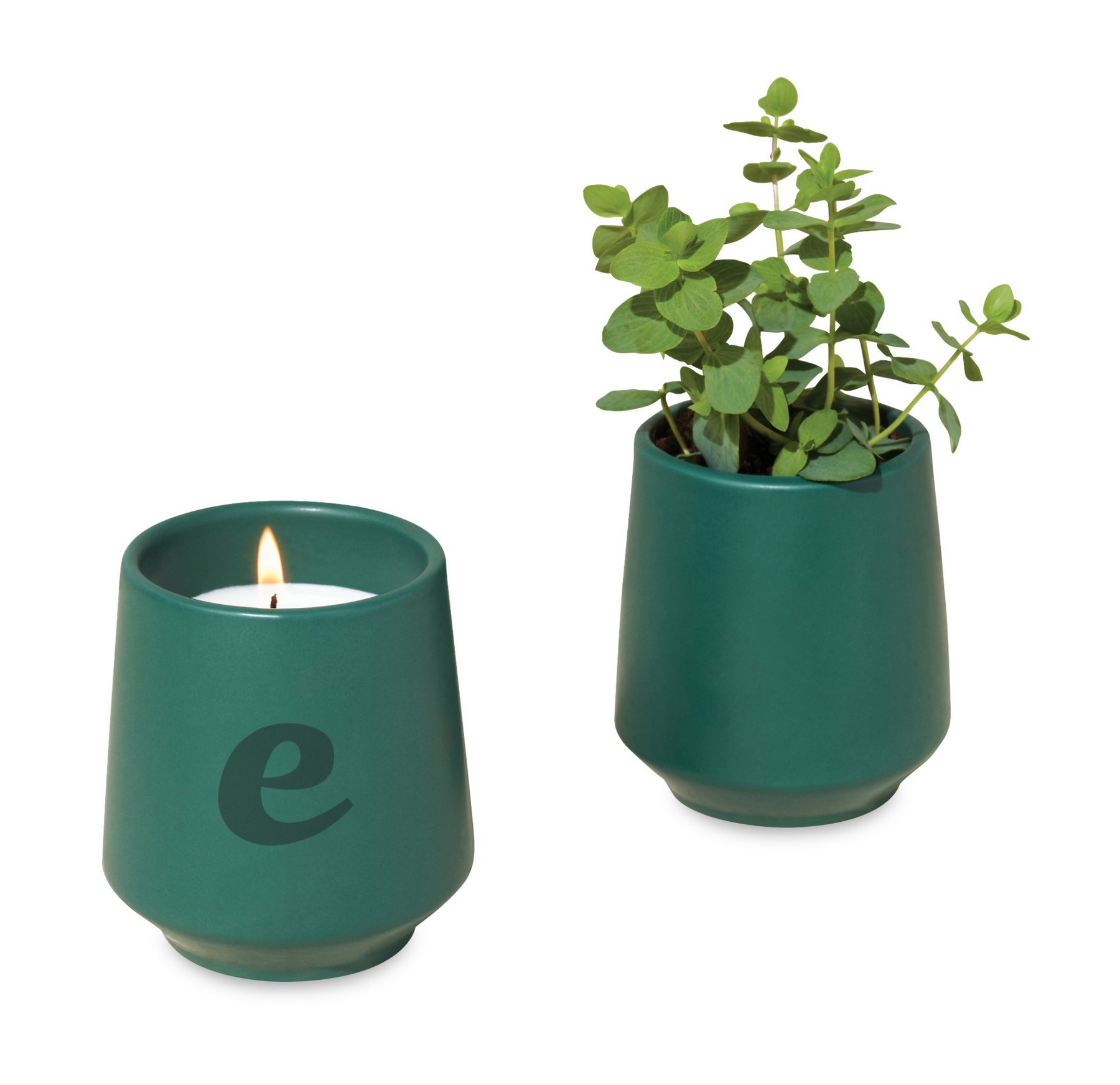 Picture of Modern Sprout Rooted Candle - Dark Teal-Thyme