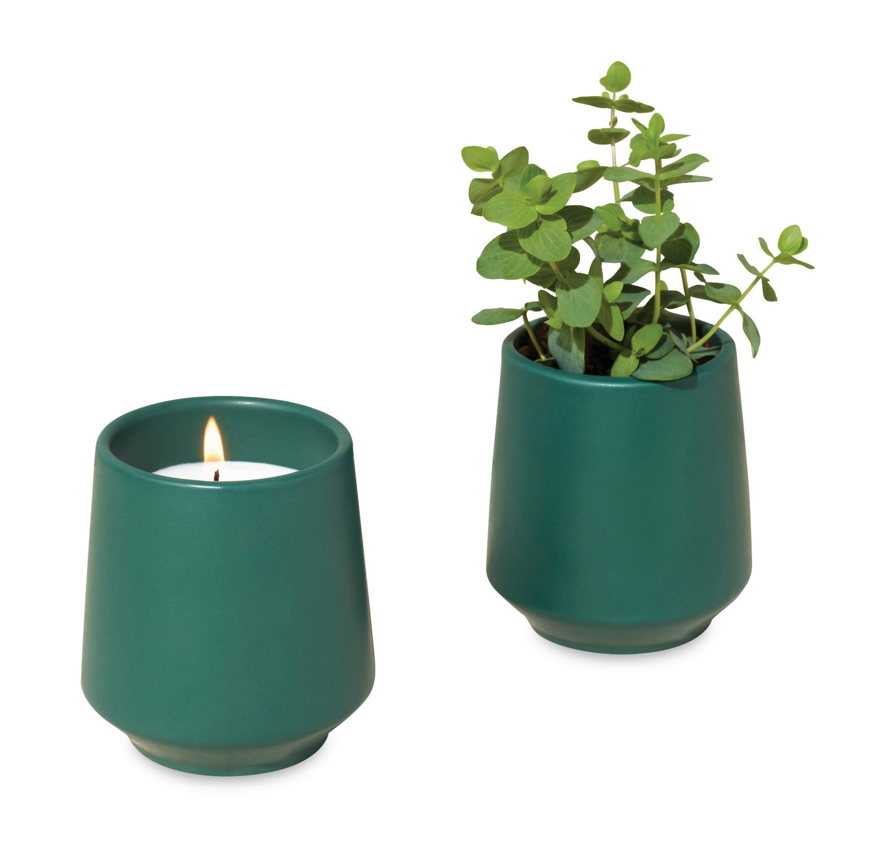 Picture of Modern Sprout Rooted Candle - Dark Teal-Thyme