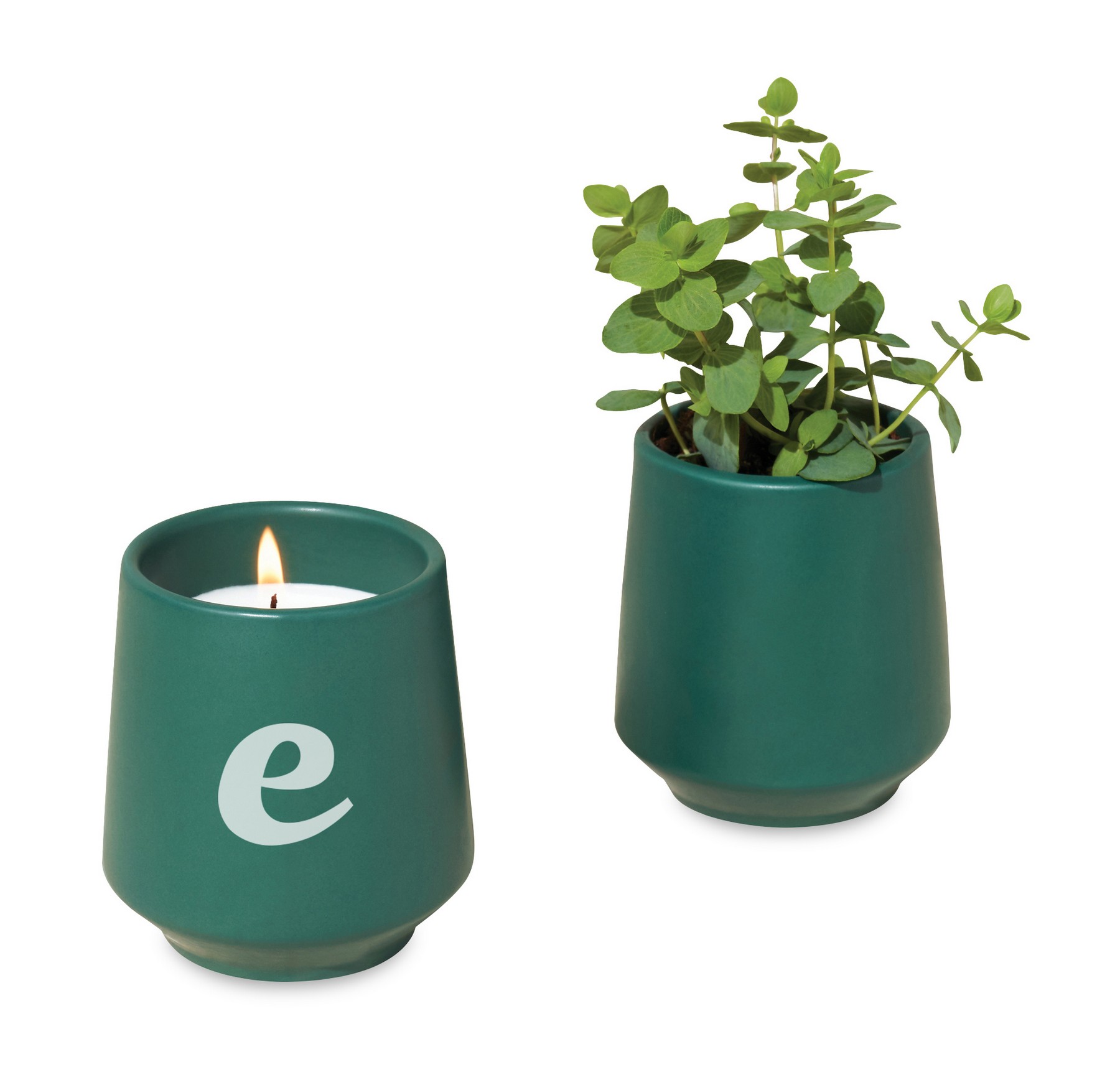 Picture of Modern Sprout Rooted Candle - Dark Teal-Thyme