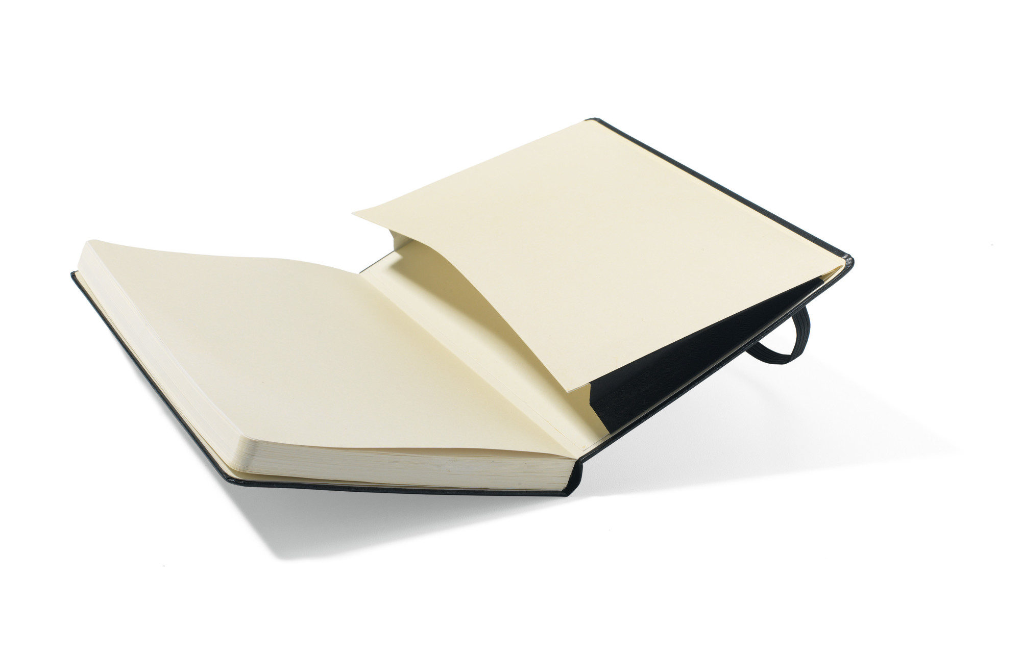 Picture of Moleskine Hard Cover Squared Large Notebook - Black