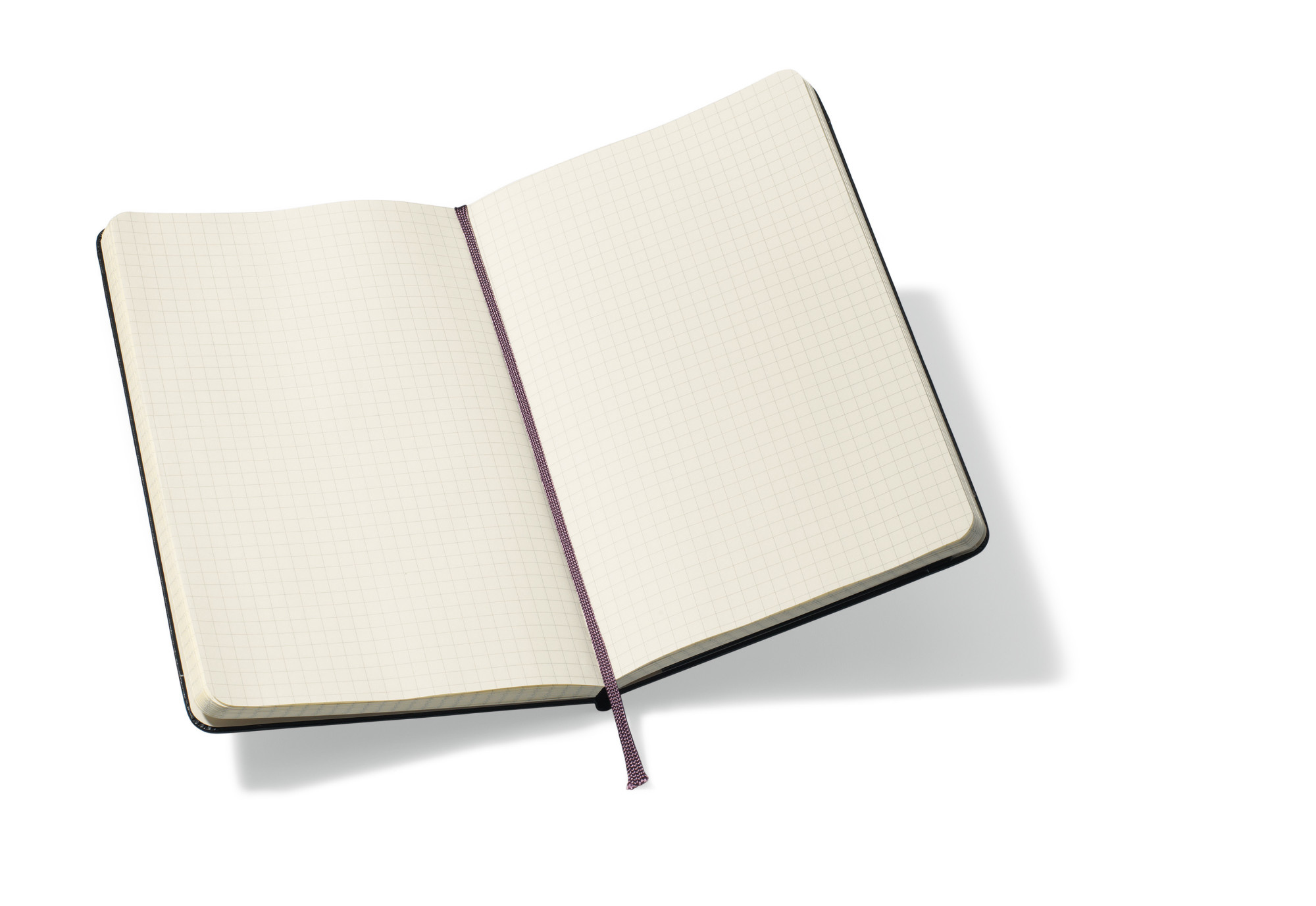 Picture of Moleskine Hard Cover Squared Large Notebook - Black