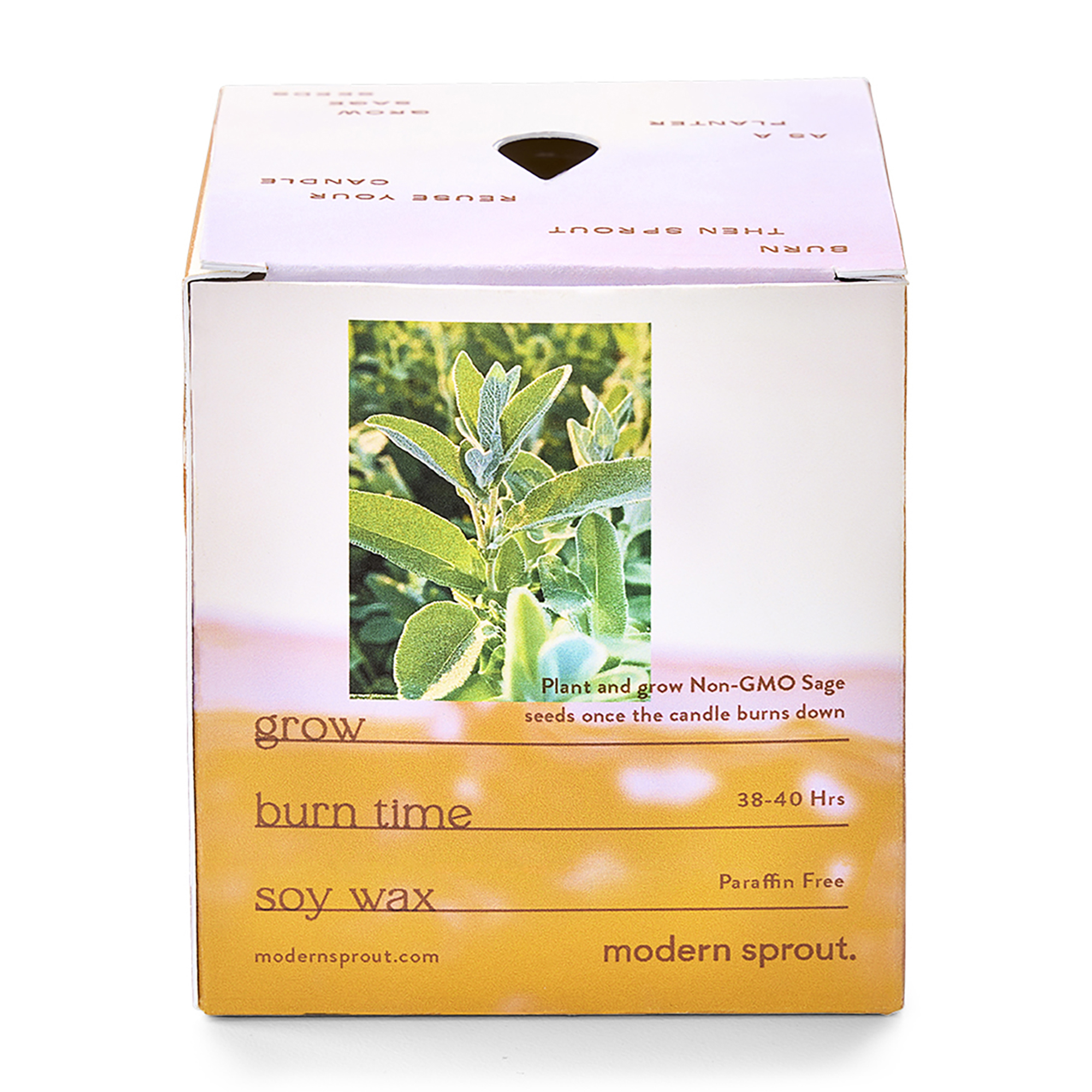 Picture of Modern Sprout Garden Vibes Candle/Planter - Golden Moments-Sage