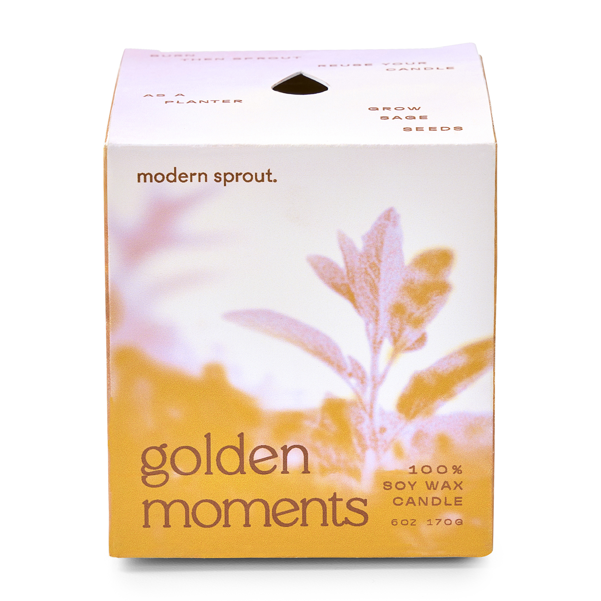 Picture of Modern Sprout Garden Vibes Candle/Planter - Golden Moments-Sage
