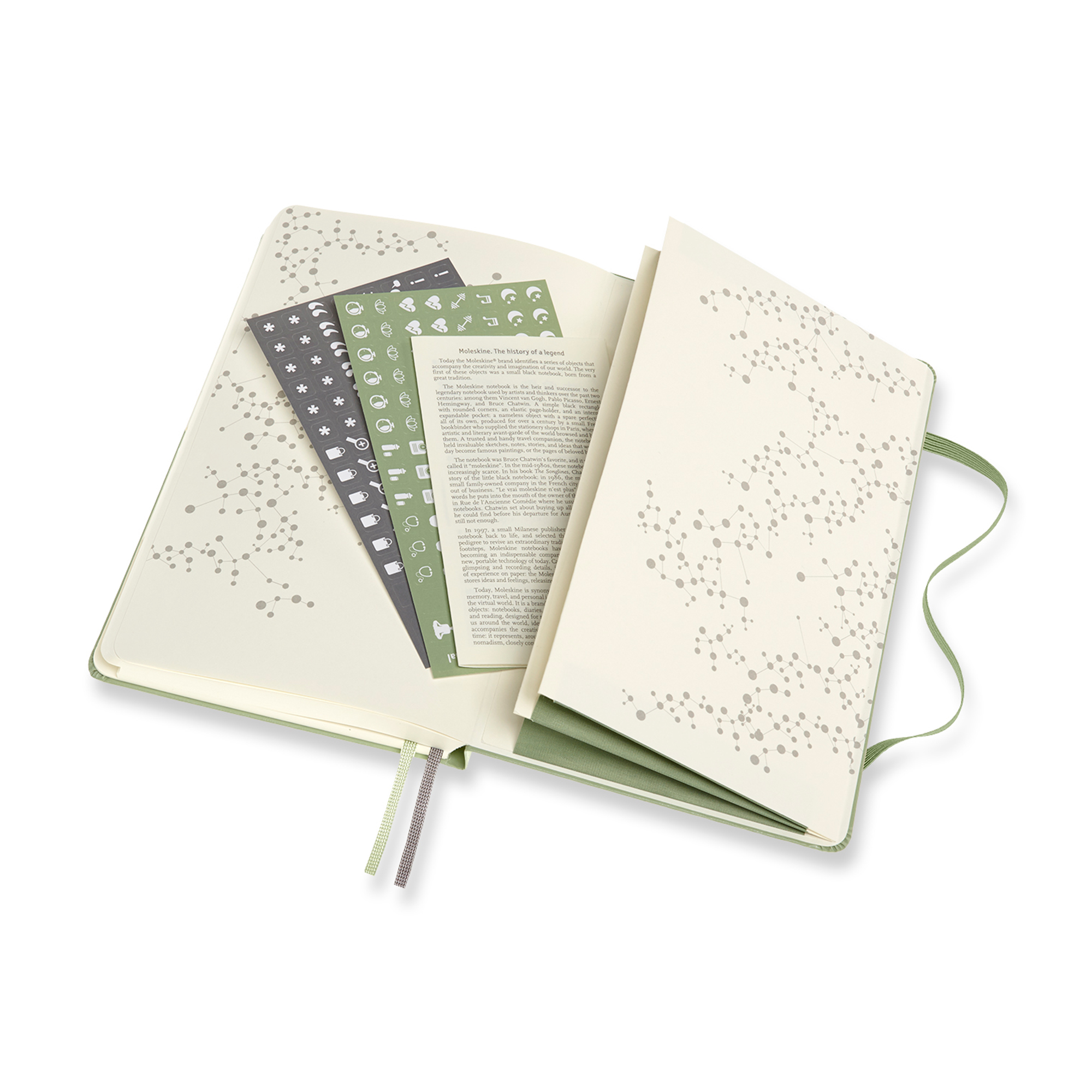 Picture of Moleskine Passion Journal - Wellness - Willow Green