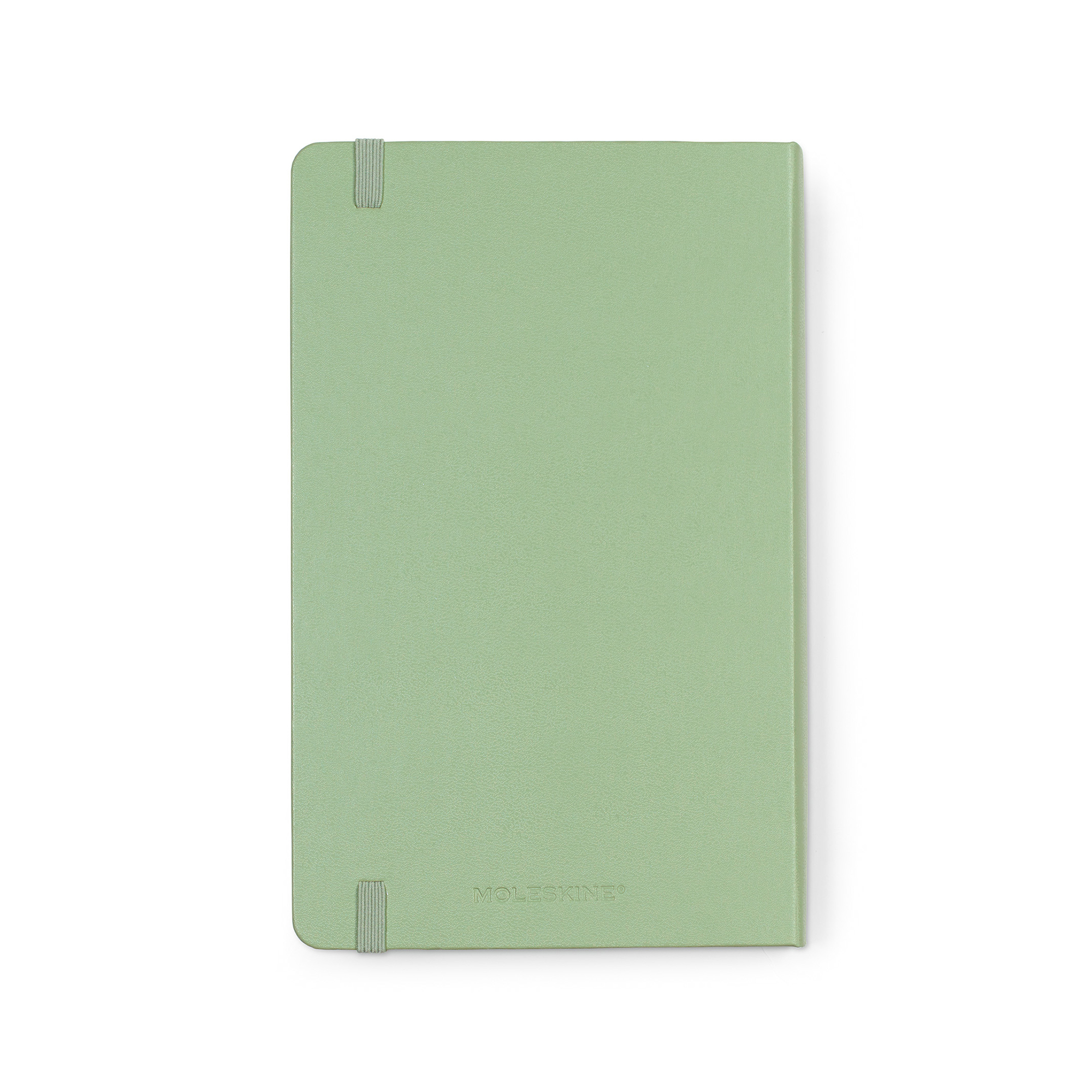 Picture of Moleskine Passion Journal - Wellness - Willow Green