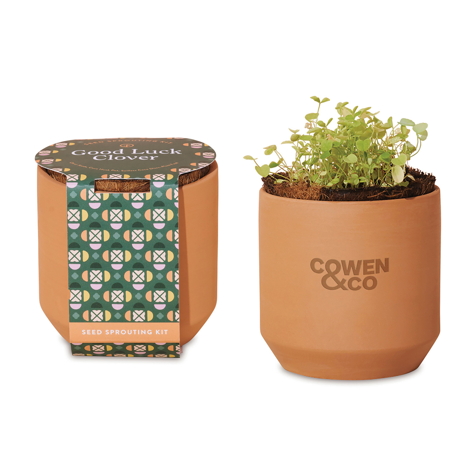 Picture of Modern Sprout Tiny Terracotta Grow Kit Good Luck Clover - Terracotta