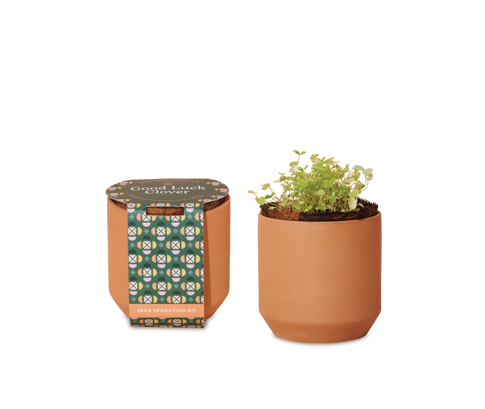 Picture of Modern Sprout Tiny Terracotta Grow Kit Good Luck Clover - Terracotta