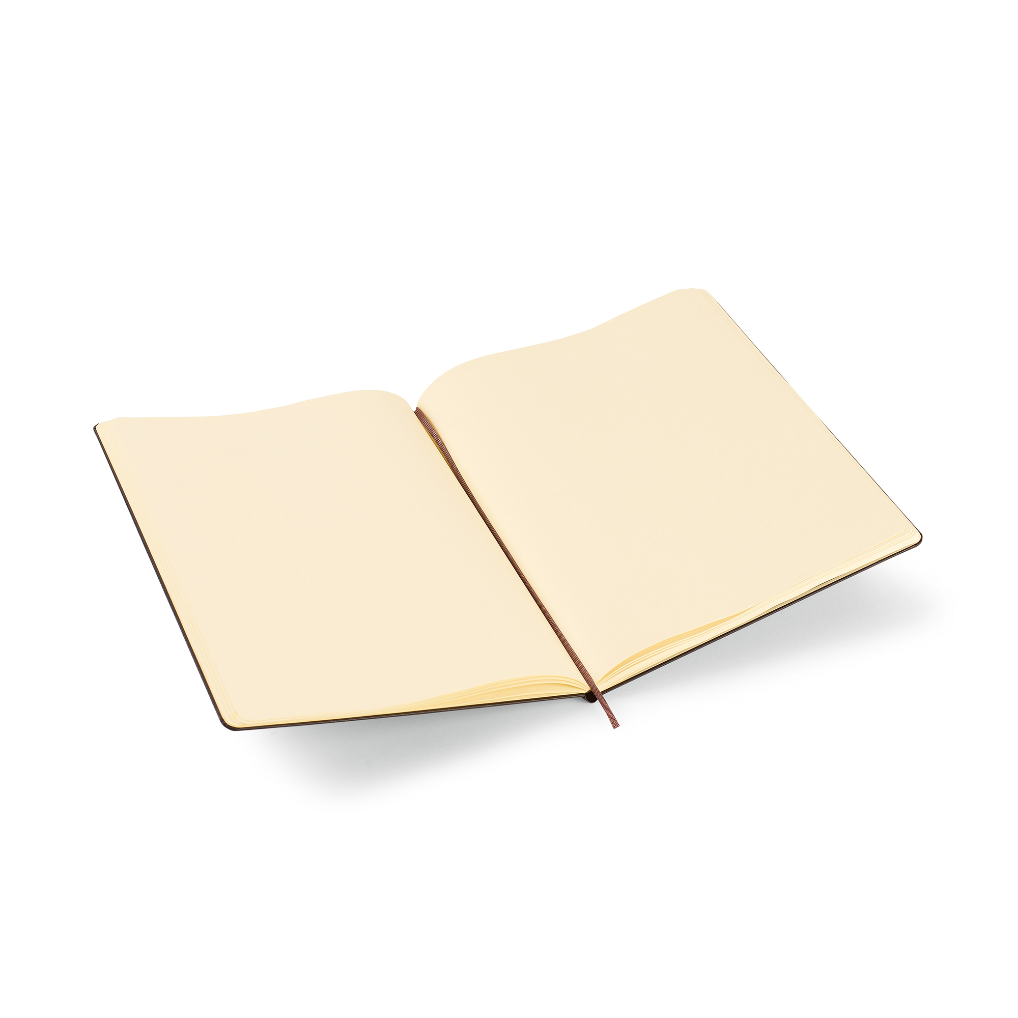 Picture of Moleskine Hard Cover Ruled XX-Large Notebook - Black