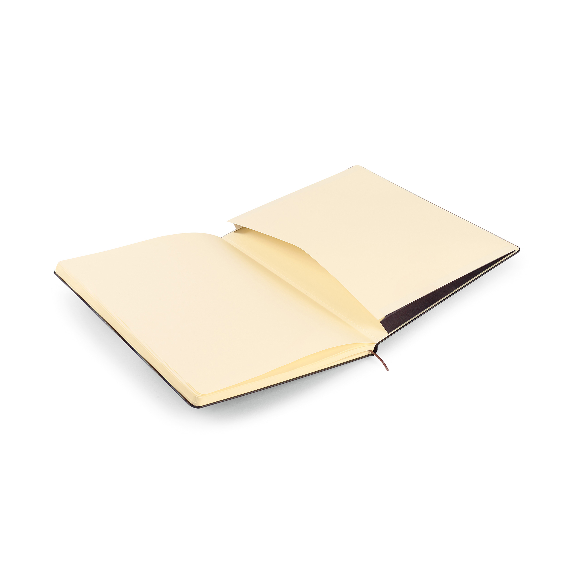 Picture of Moleskine Hard Cover Ruled XX-Large Notebook - Black