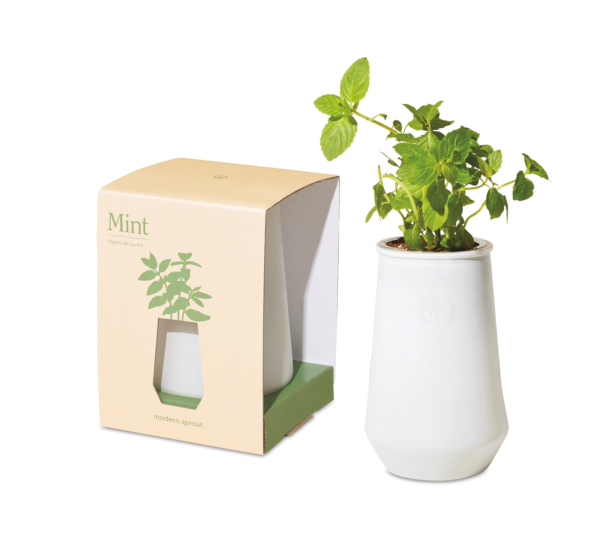 Picture of Modern Sprout Tapered Tumbler Grow Kit - White-Mint