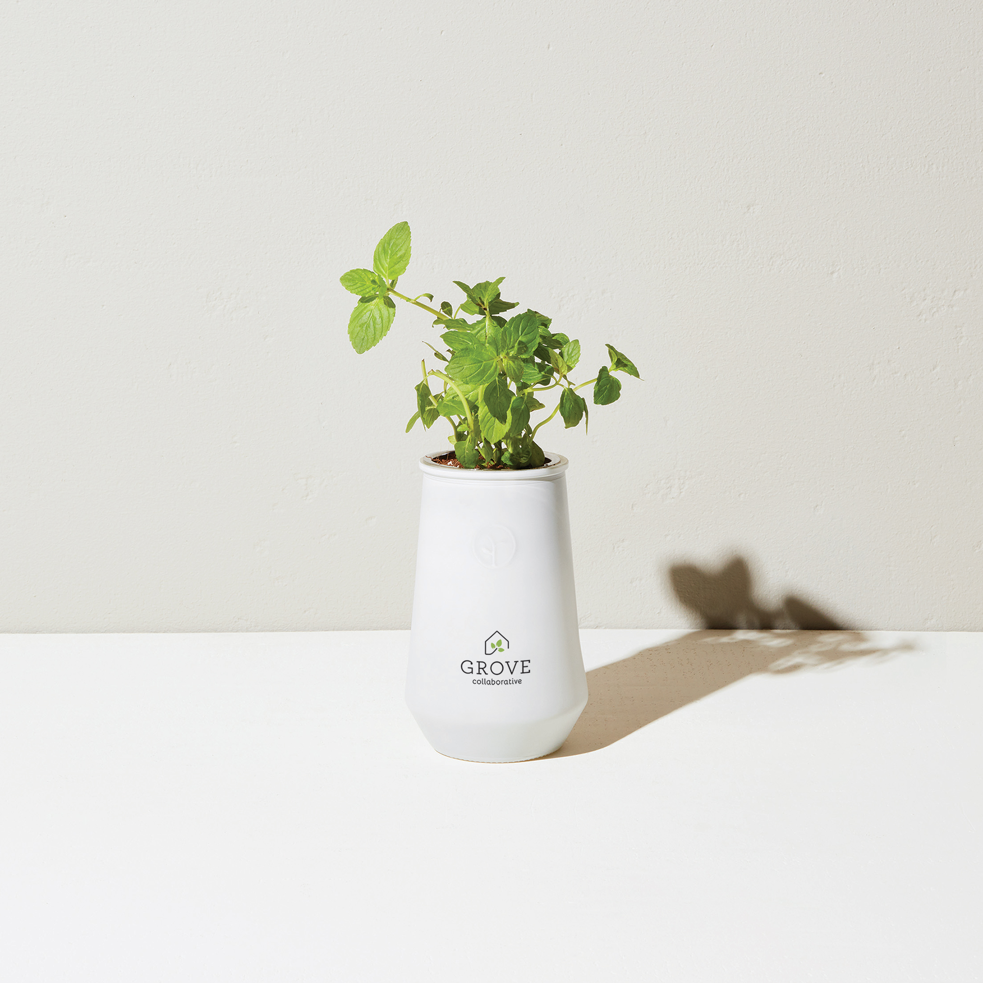 Picture of Modern Sprout Tapered Tumbler Grow Kit - White-Mint