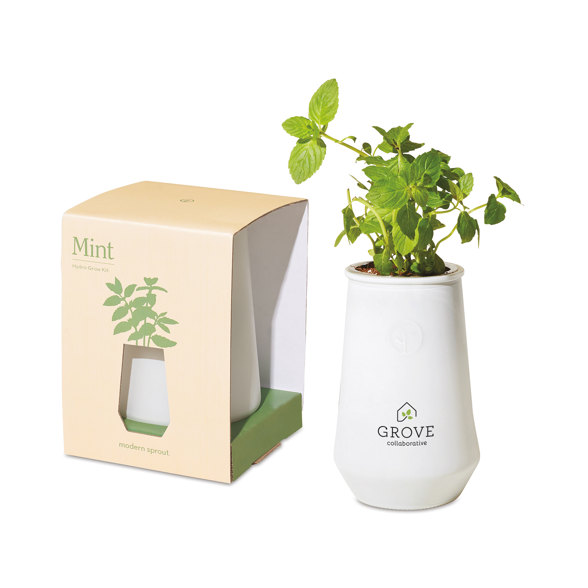 Picture of Modern Sprout Tapered Tumbler Grow Kit - White-Mint