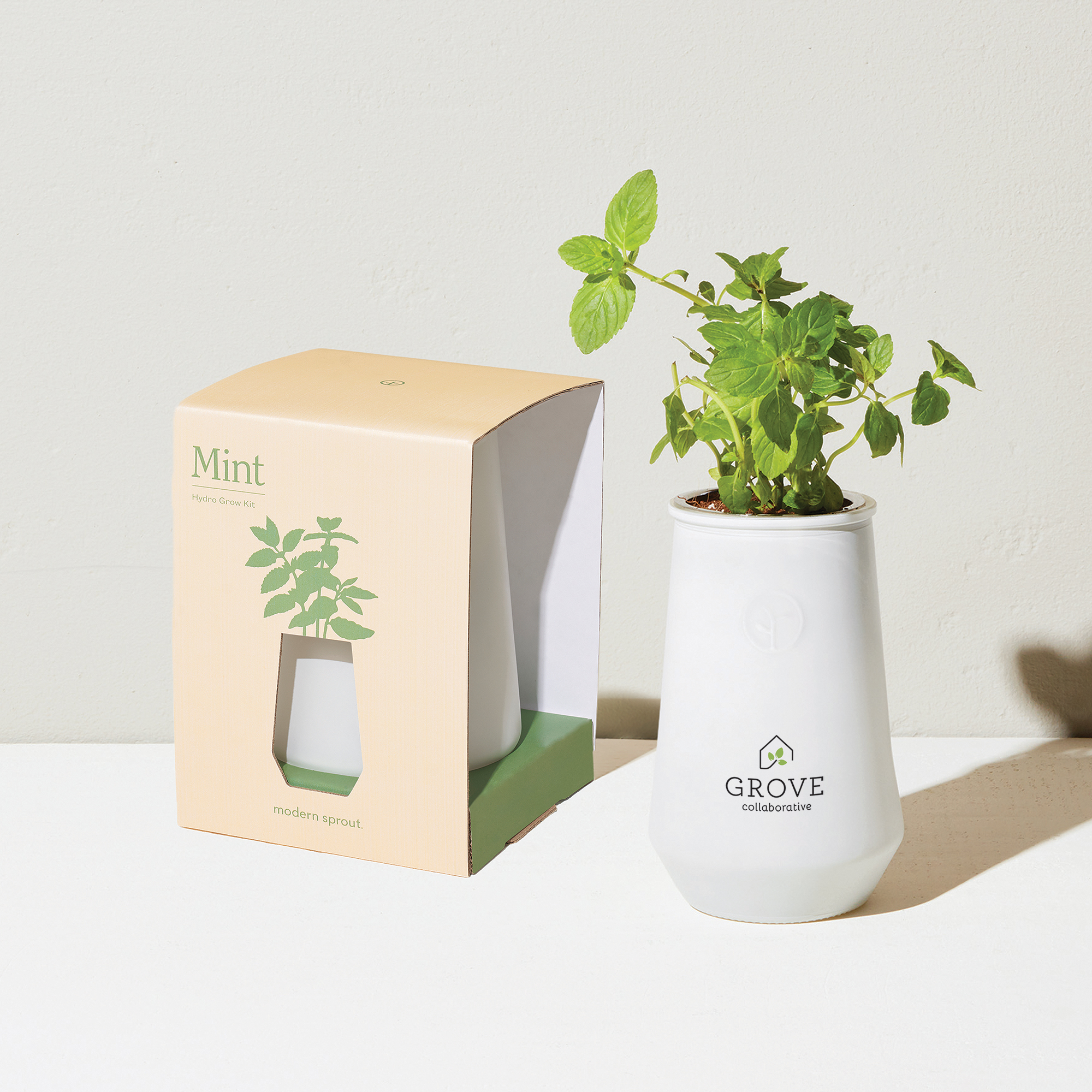 Picture of Modern Sprout Tapered Tumbler Grow Kit - White-Mint