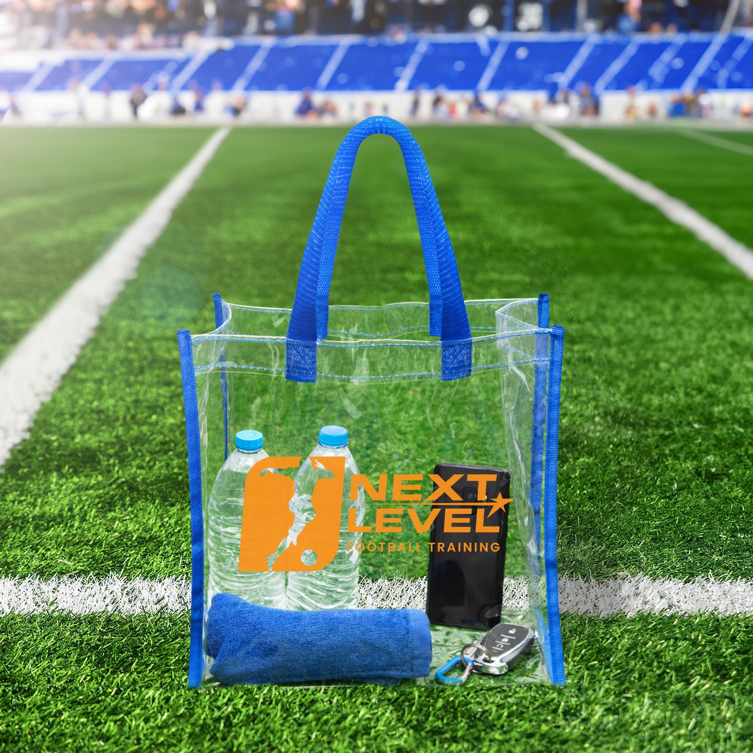 Picture of Clear Tote Bag