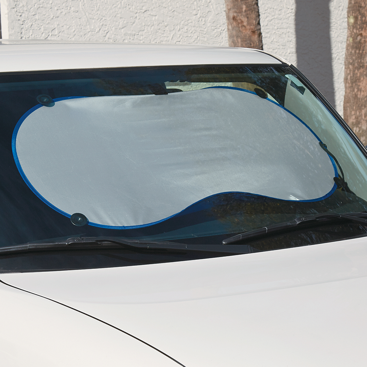 Picture of Collapsible Automobile Sun Shades