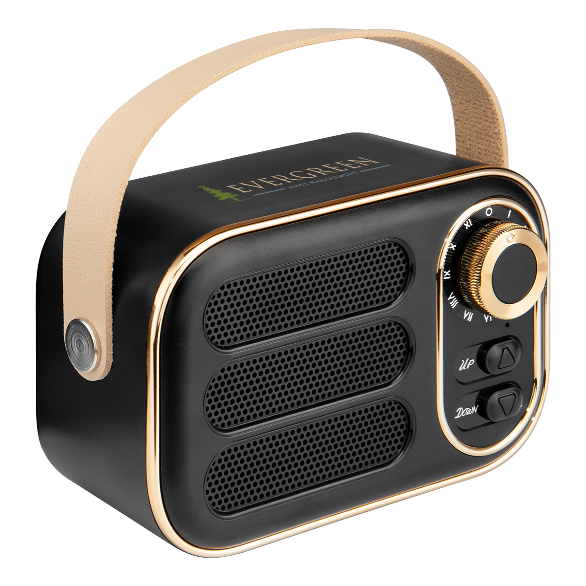Picture of Aws Retro Boom Fm Radio & Wireless Speaker