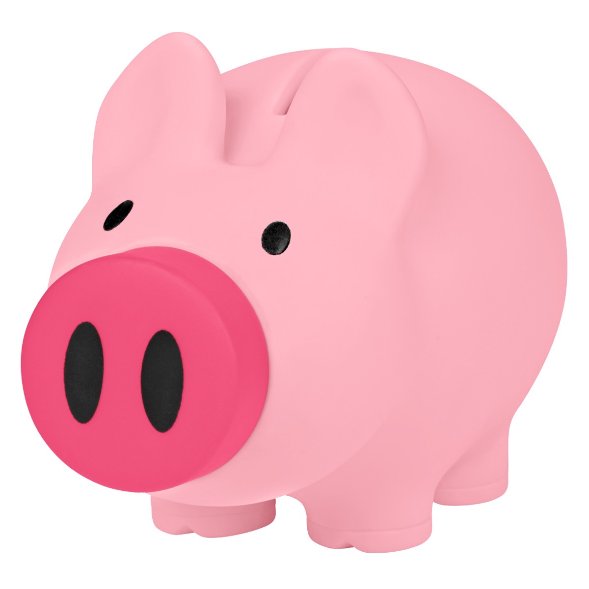 Picture of Payday Piggy Bank