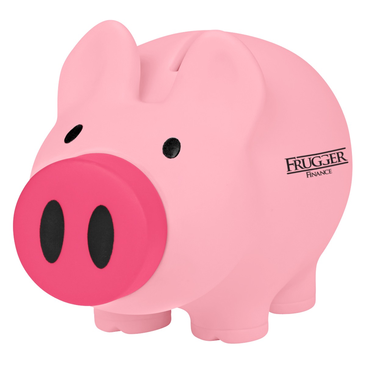 Picture of Payday Piggy Bank