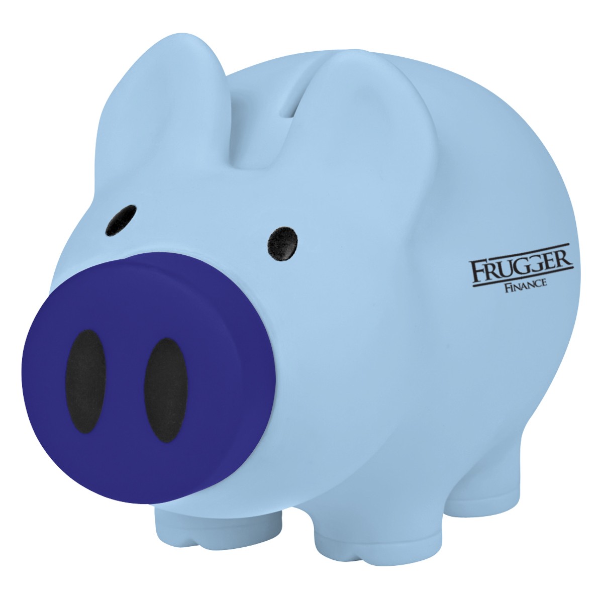 Picture of Payday Piggy Bank