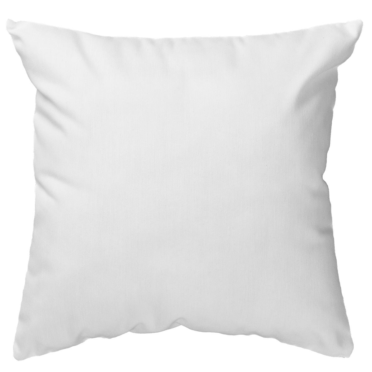 Picture of Small Full Color Throw Pillow