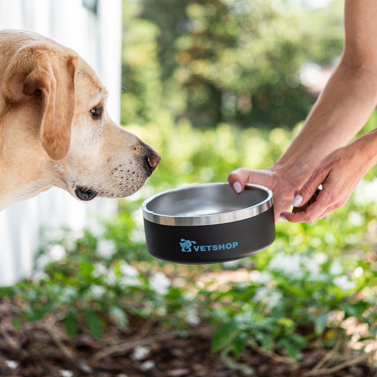 Picture of 40 Oz. Stainless Steel Pet Bowl