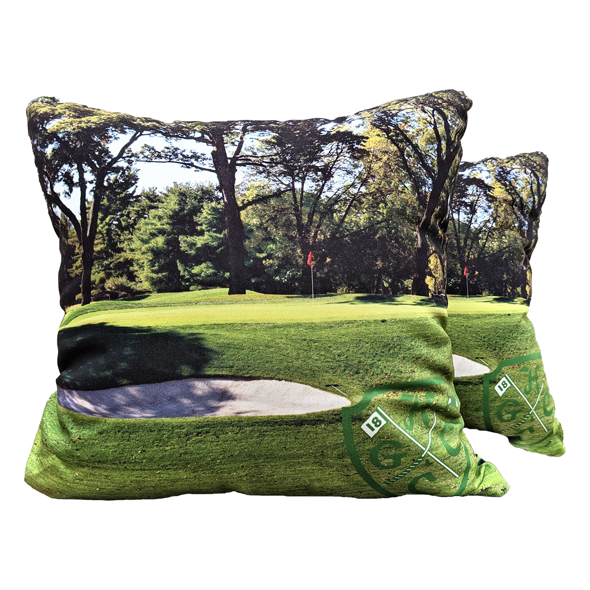 Picture of Medium Full Color Throw Pillow