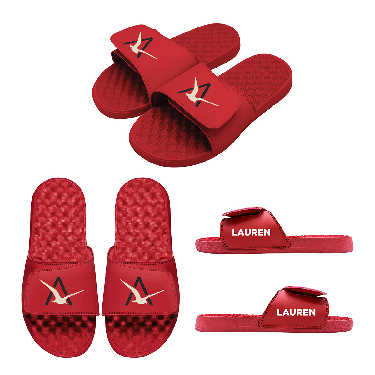 Picture of Islide Mantra Slides