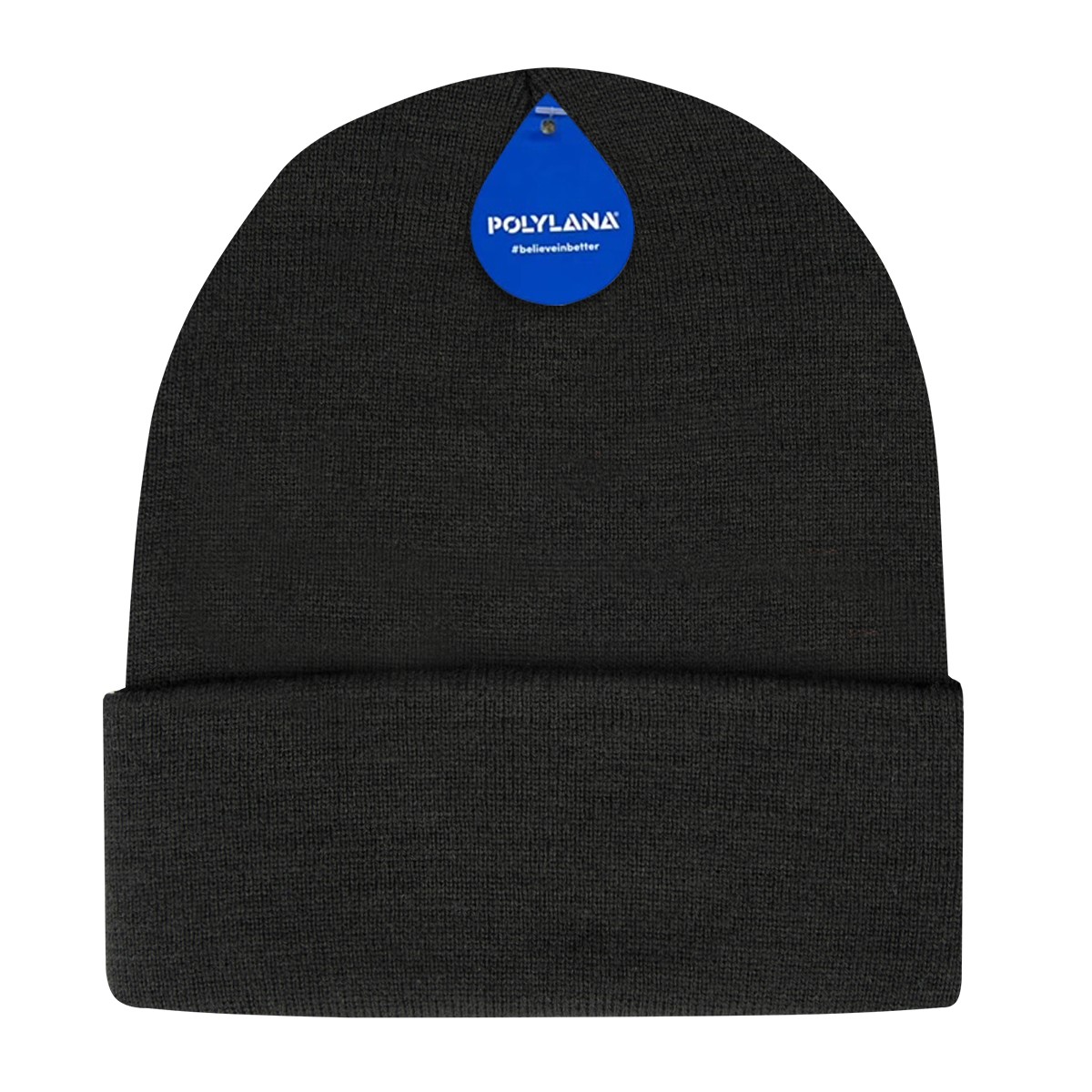 Picture of Polyana Knit Cuffed Beanie