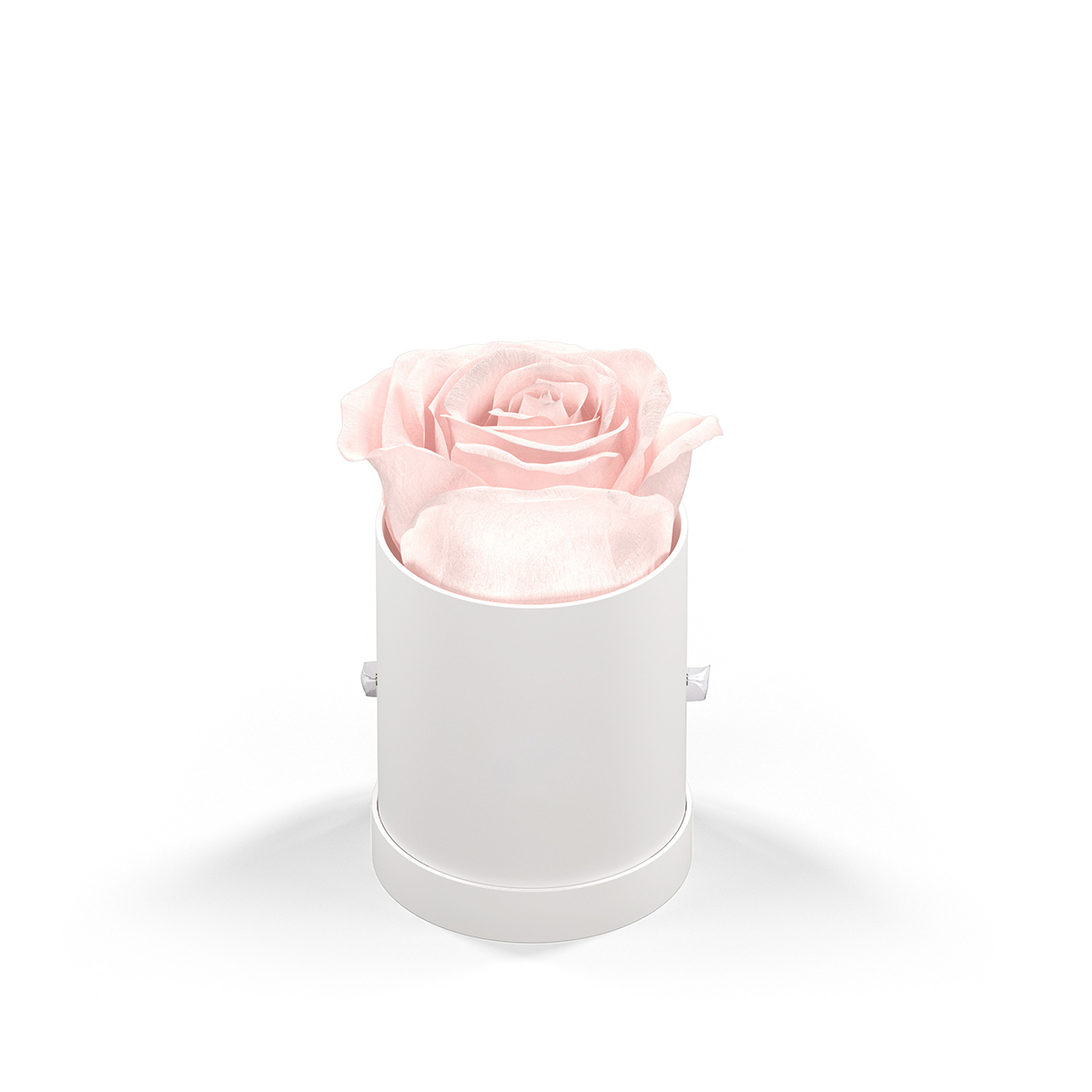 Picture of Classique By Vef Le Mini™ Round