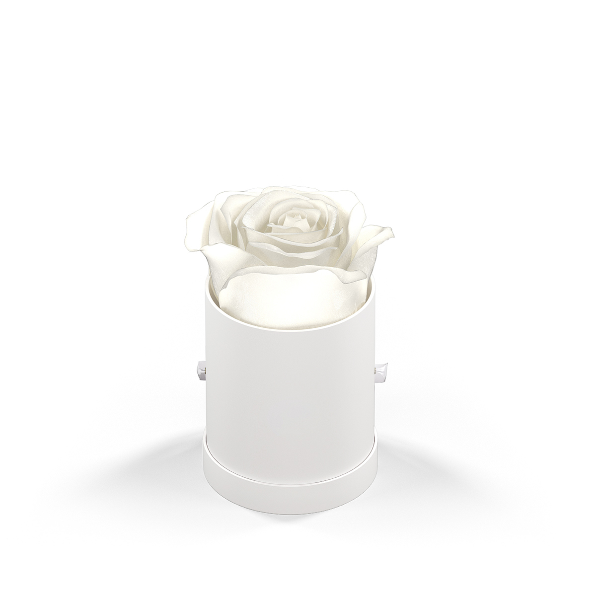 Picture of Classique By Vef Le Mini™ Round