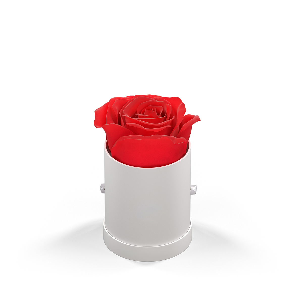Picture of Classique By Vef Le Mini™ Round