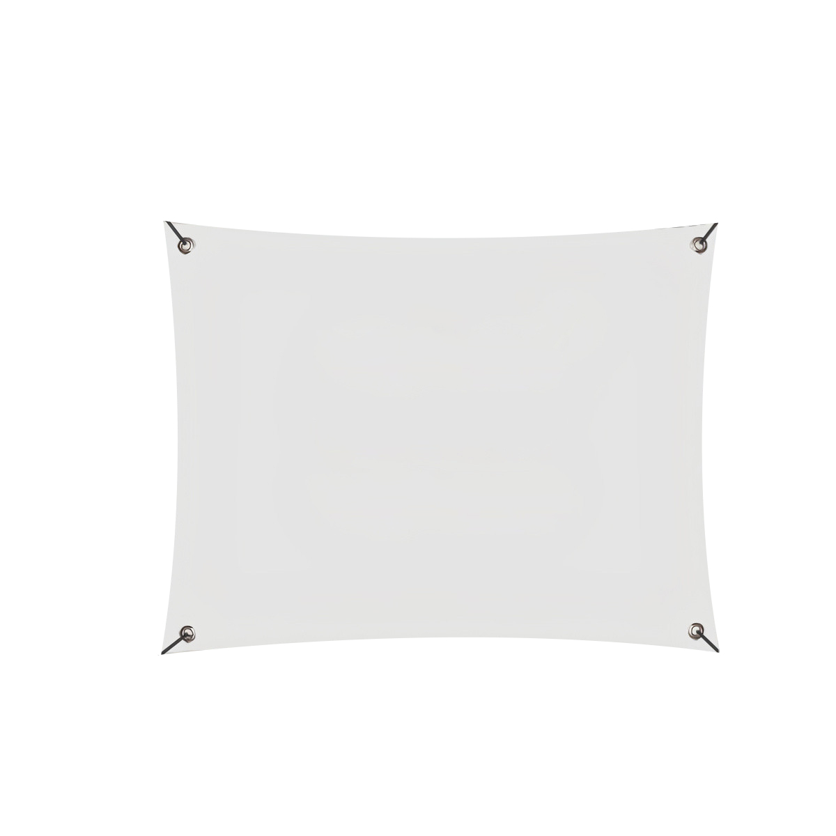 Picture of 4'x6' Vinyl Banner