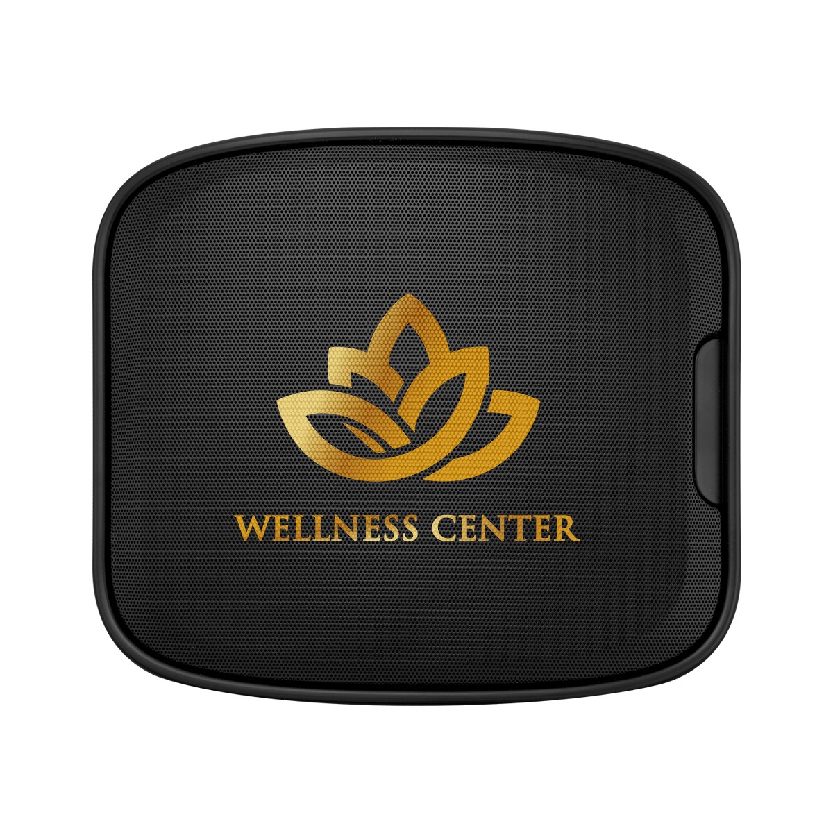 Picture of Next Level Wireless Wall Speaker