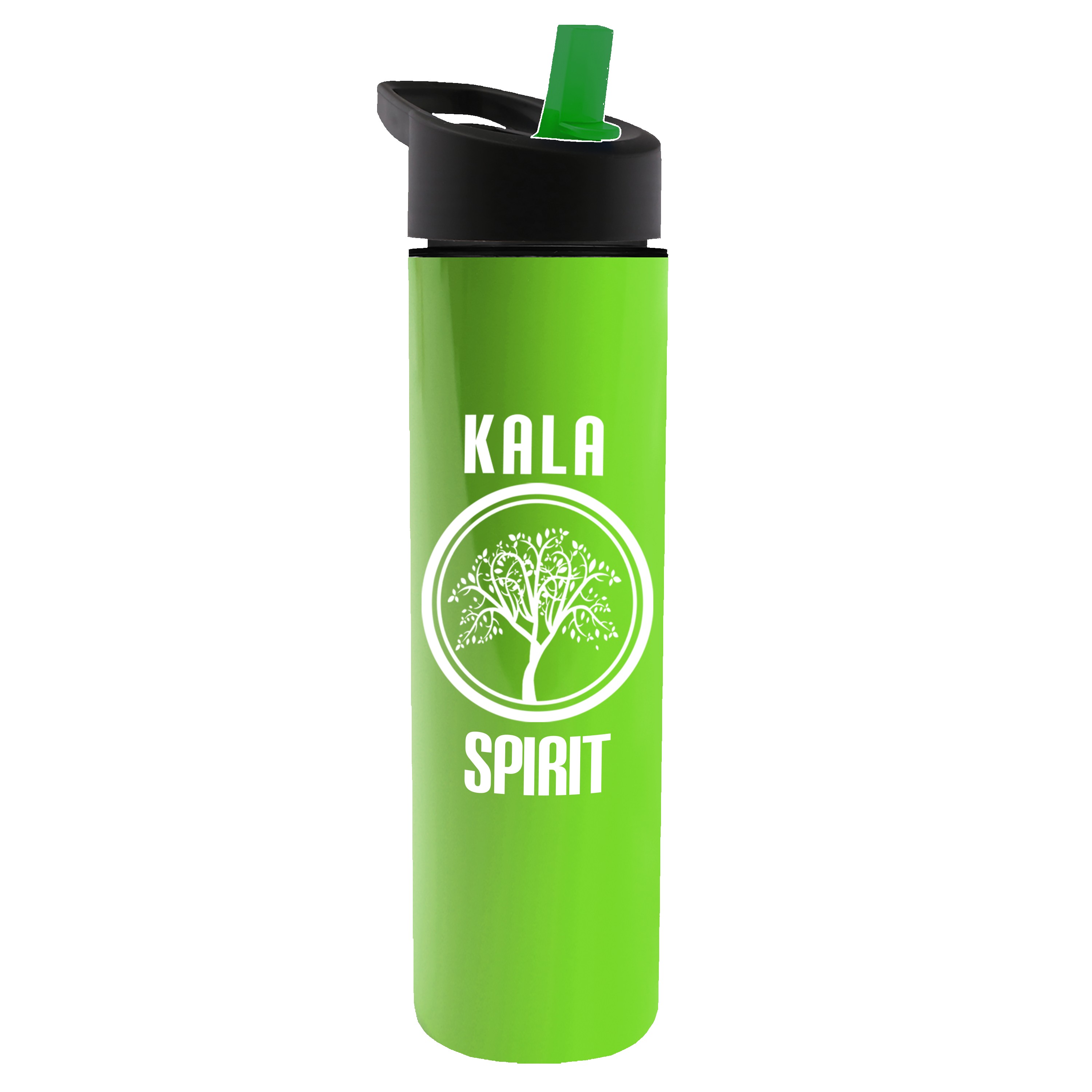 Picture of Garyline® Slim Double-Wall Insulated Bottle with Flip-Straw Lid - 16 oz.