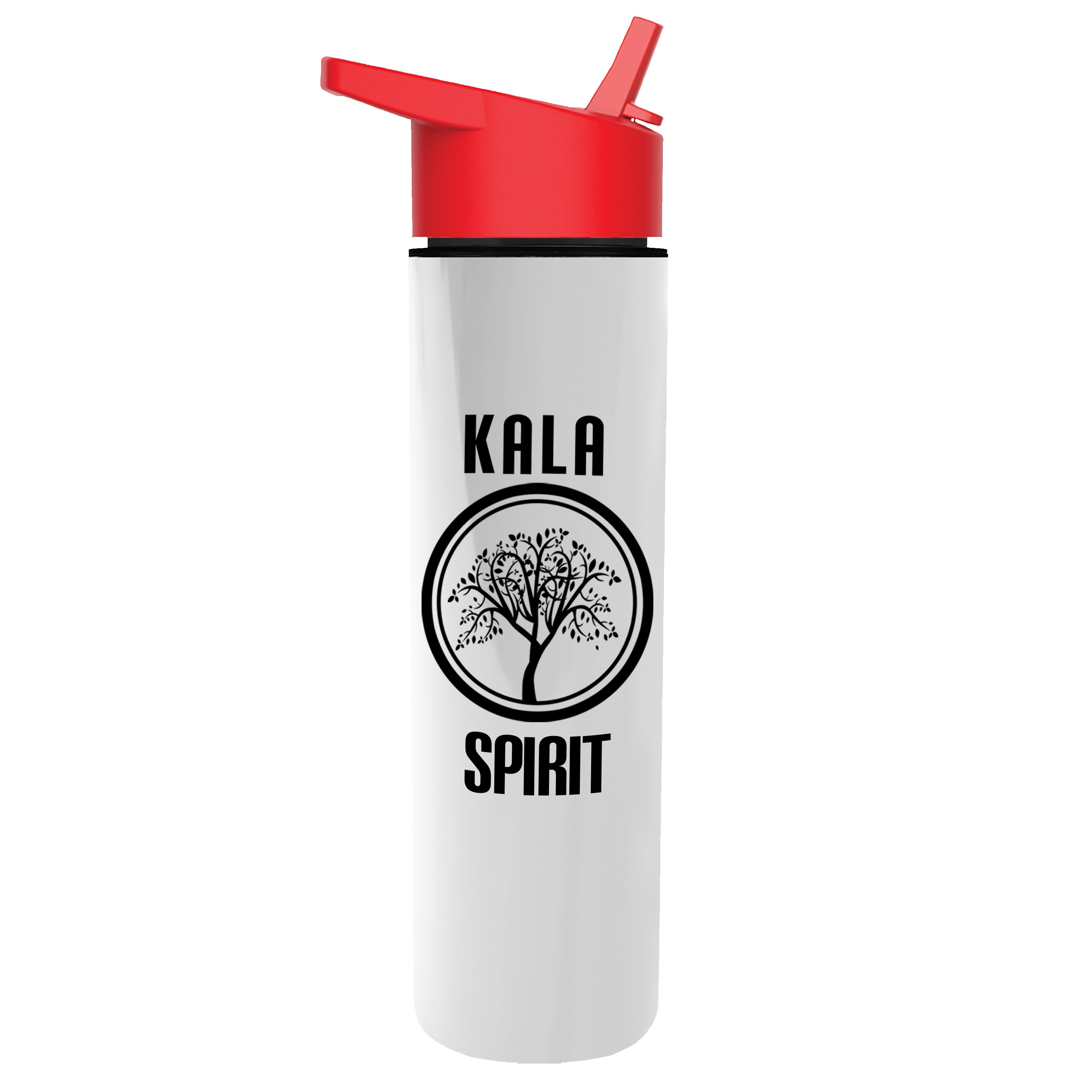 Picture of Garyline® Slim Double-Wall Insulated Bottle with Flip-Straw Lid - 16 oz.