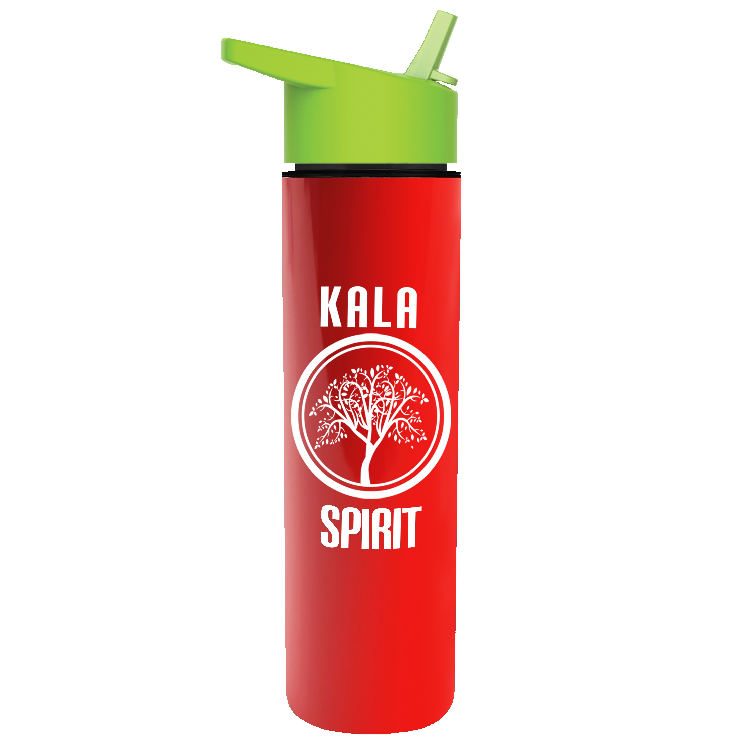 Picture of Garyline® Slim Double-Wall Insulated Bottle with Flip-Straw Lid - 16 oz.