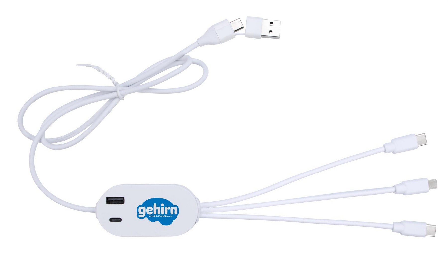 Picture of Good Value™ DualLink Charging Cable 2A with USB Hub