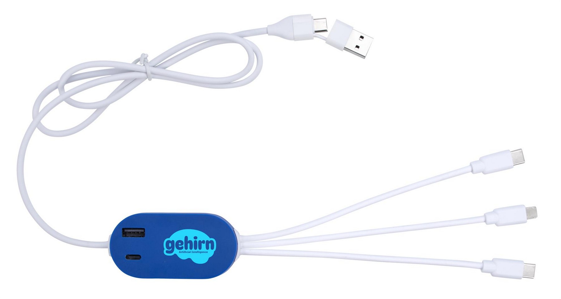 Picture of Good Value™ DualLink Charging Cable 2A with USB Hub