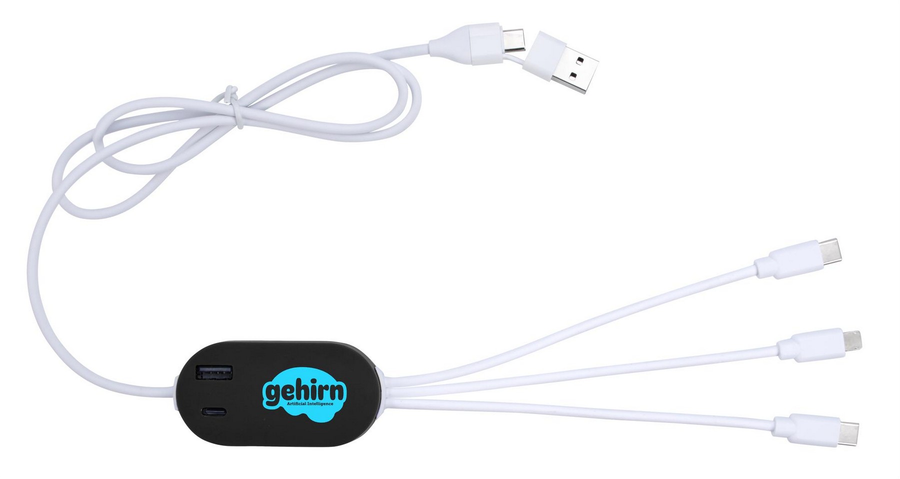 Picture of Good Value™ DualLink Charging Cable 2A with USB Hub