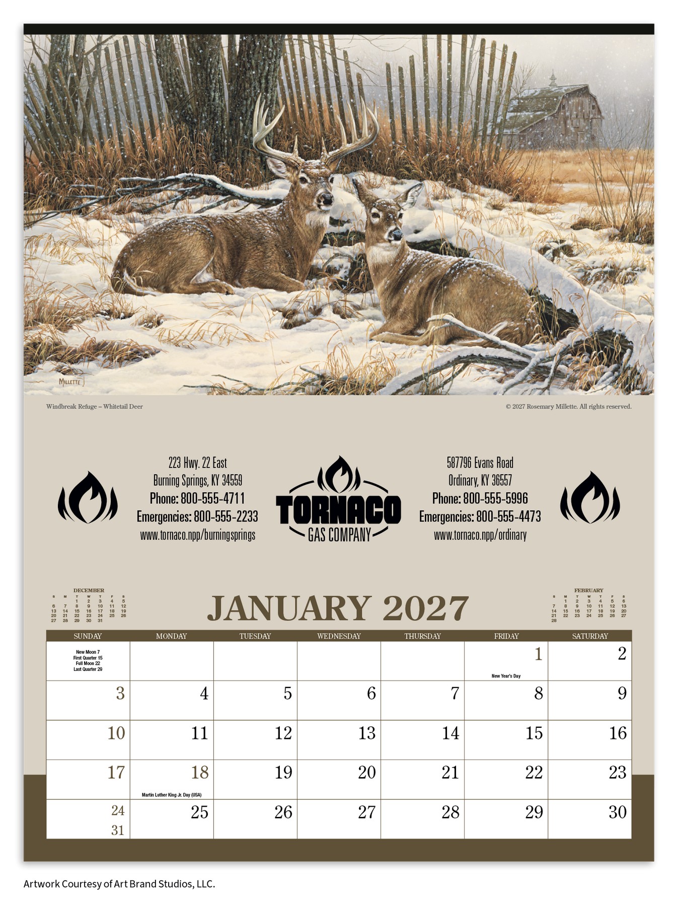Picture of Triumph® Calendars Wildlife Art Calendar