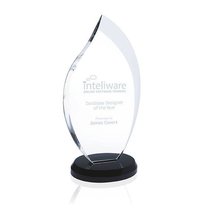Picture of JAFFA® Innovation Award - Medium