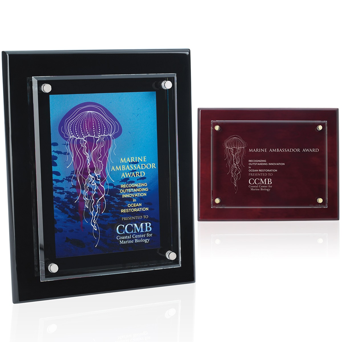 Picture of JAFFA® Floating Glass Plaque - 8" x 10"