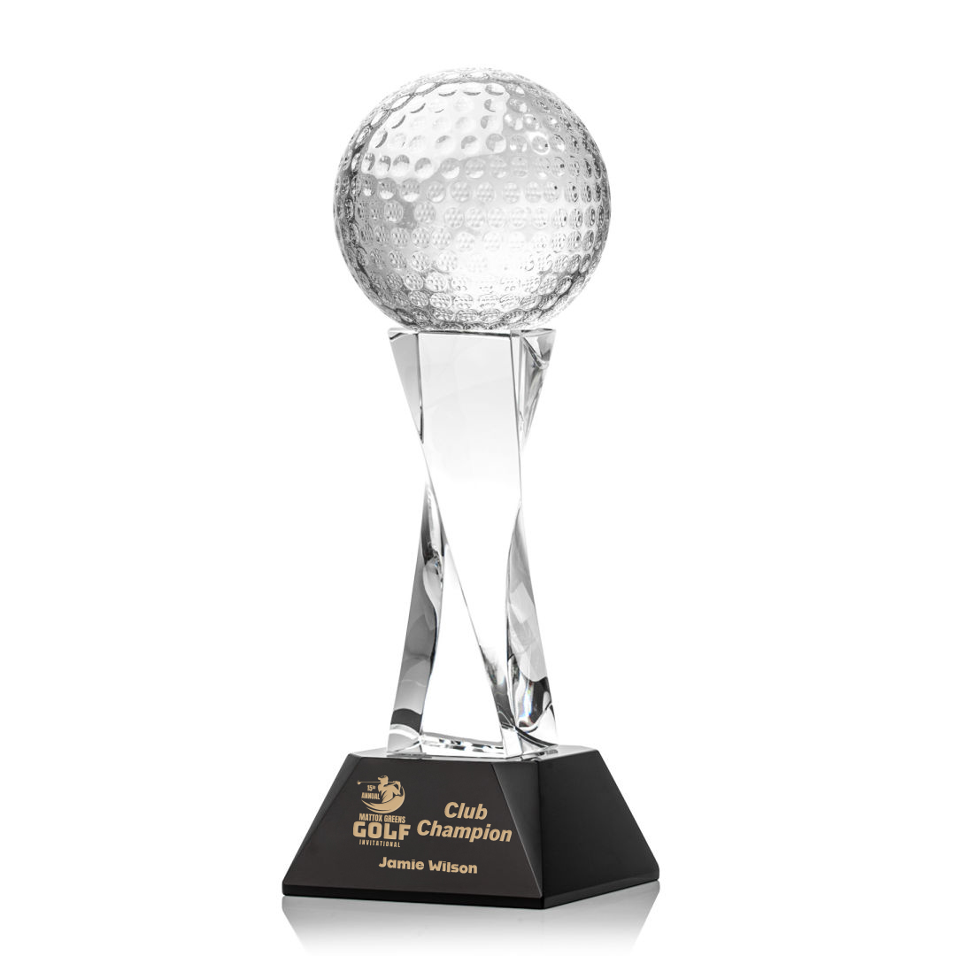 Picture of The Game Ball Award