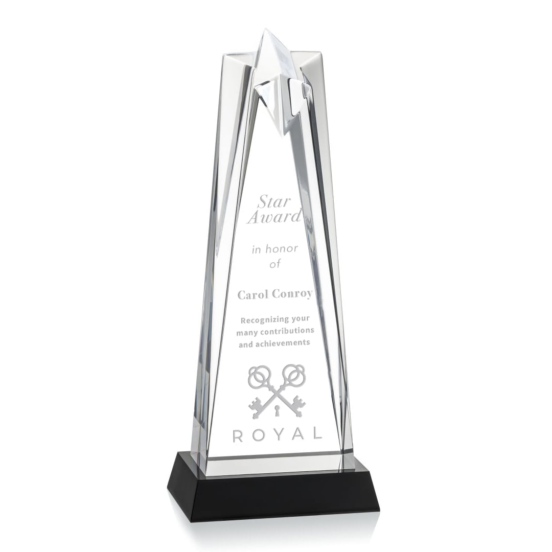 Picture of Shooting Star Award