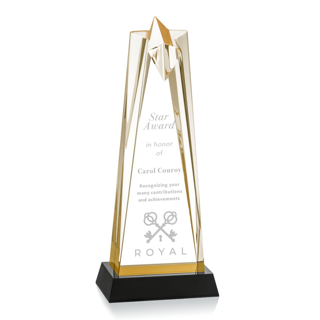 Picture of Shooting Star Award