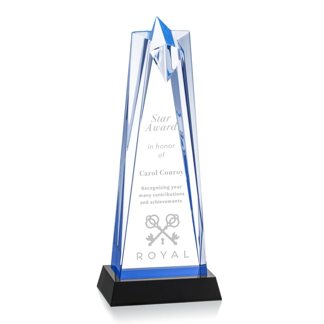 Picture of Shooting Star Award