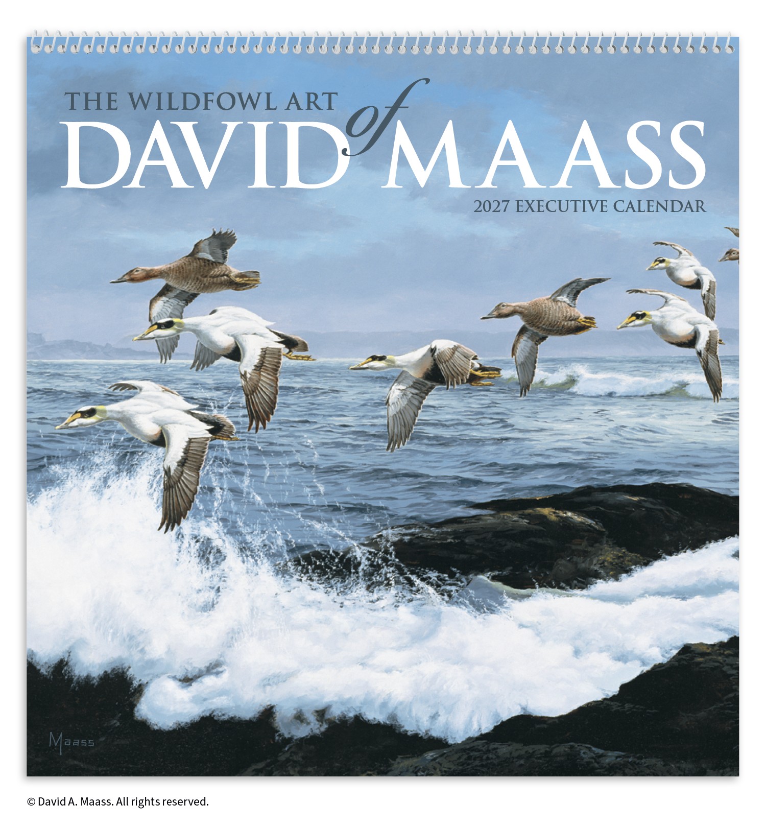 Picture of HotLine® Products David Maass Executive Calendar